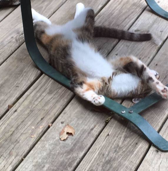 Profile Picture of Vivian Rosandich (@vivianrosandich) on Poshmark