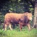 Profile Picture of Norman Johnston (@norman.johnston.338) on Facebook