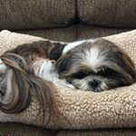 Profile Picture of Traci Weaver (@traci.weaver.322) on Instagram