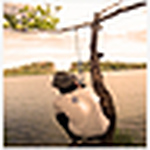 Profile Picture of james mark dela pena (@james mark dela pena) on Flickr