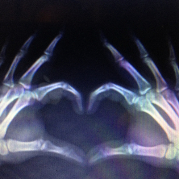 Profile Picture of Heather Chase (@hchase2011) on Poshmark