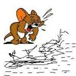 Profile Picture of James Macharia (@james.macharia.3914) on Instagram