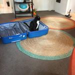 Vicki Carty - Instagram Profile Picture of Vicki Carty (@carty.vicki) on Instagram