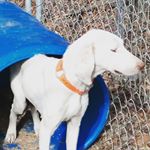 Profile Picture of Stephen Farrar (@s.farrar638) on Instagram