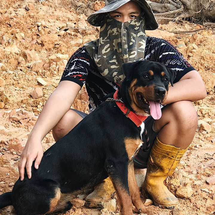 Profile Picture of ralph (@ralphmetzgerhund) on Tiktok