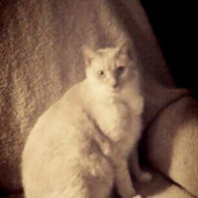 Profile Picture of Angela Caskey (@@angelaworksit) on Twitter