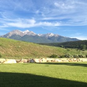 Sarah Hashimi - Pinterest Profile Picture of Sarah Hashimi (@sahassy) on Pinterest