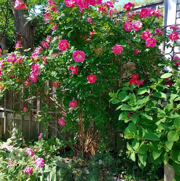 Profile Picture of Doug Jackson (@dougjackson440) on Poshmark