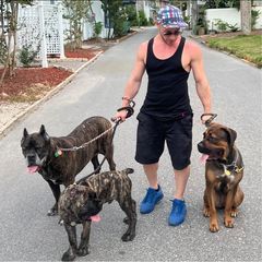 Profile Picture of adamlieberman4 (@adamlieberman4) on Tiktok