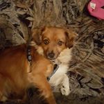 Profile Picture of Herbert Koch (@herbert.koch.946) on Instagram
