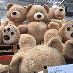 Profile Picture of コストコ_カルディ_イケア_業務スーパー (@costcokaldiikea) on Instagram