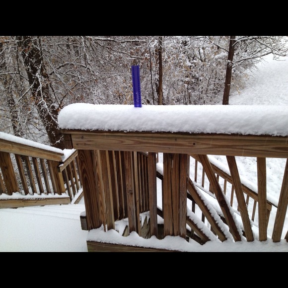 Lynne Putnam - Poshmark Profile Picture of Lynne Putnam (@lputnam) on Poshmark