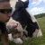 Profile Picture of Chris Bergantine (@bergantine) on Pinterest
