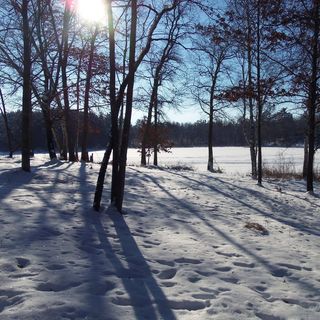 Profile Picture of Marsha Borchardt (@marsha.borchardt.3) on Facebook