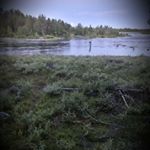 Profile Picture of grayling.swe (@grayling.swe) on Instagram