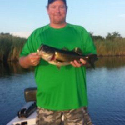 Profile Picture of Andy Rohr (@Arohr47) on Twitter