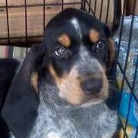 Profile Picture of Steve Baverso (@steve-baverso-2) on Quora