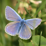 Profile Picture of Jason Richardson (@Jnr 1611) on Flickr