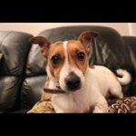 Profile Picture of Mike Rawlings (@michaelpaulr) on Instagram