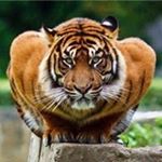 Profile Picture of Steve Kiefert (@steve_kiefert) on Instagram