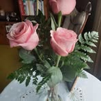 Profile Picture of Rosemary Ailinger (@rosemary.ailinger.3) on Facebook