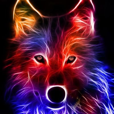 Profile Picture of Kyle Westbrook (@KyleWestbrook10) on Twitter
