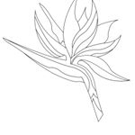 Profile Picture of Colleen Eitzen Designs (@colleen_eitzen) on Instagram