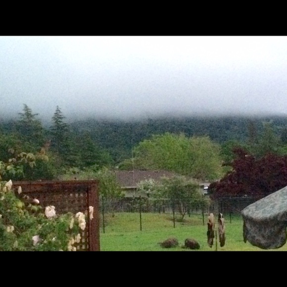 Profile Picture of Rebecca Keyser (@keyserlala) on Poshmark