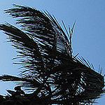 Profile Picture of Barcoderobot (@barcoderobot) on Flickr