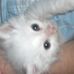 Profile Picture of Nancy Caruthers (Nancy) (@nancy.caruthers2) on Facebook