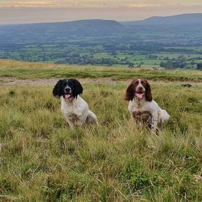 Profile Picture of Josh Denson (@josh_denson) on Twitter