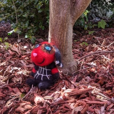 Profile Picture of MikeFeltMeUp (@MikeFeltMeUp1) on Twitter