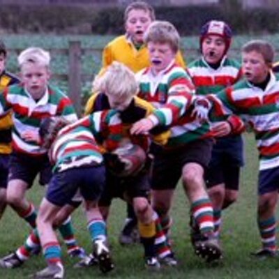 Profile Picture of Joel Woodward (@joelmolewoody) on Twitter