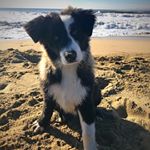 Profile Picture of Cooper James Berti (@cooper_theaussie5) on Instagram