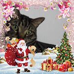 Profile Picture of Eileen Rees (@eileen.rees.5) on Instagram