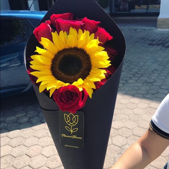 Profile Picture of Ashton Kate (@ashtonkate96) on Poshmark