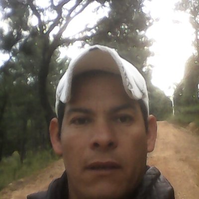 Panos Miranda - Twitter Profile Picture of Panos Miranda (@Panosmiranda1) on Twitter