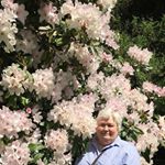 Kris Potter - Instagram Profile Picture of Kris Potter (@kris.potter.794) on Instagram