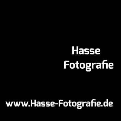 Profile Picture of Michael Hasse (@HasseFotografie) on Twitter