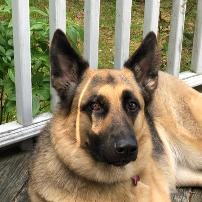 Profile Picture of Douglas Michaels (@Douglas15249684) on Twitter
