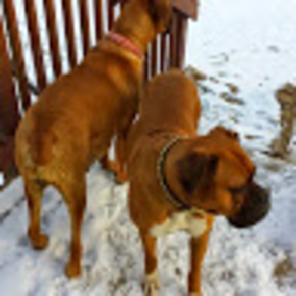 Profile Picture of Jerry Lesesne (@lesesne2) on Poshmark