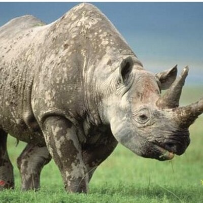 Profile Picture of Andrew Corwin (@CODrew) on Twitter
