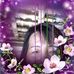 Profile Picture of Glenn Primavera (@glenn.primavera.5) on Facebook