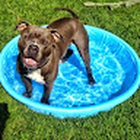 Profile Picture of Joel Hinz (@joel-hinz-2) on Quora