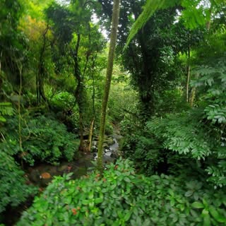 Profile Picture of Heather Davis Vanderhoef (@vanderhoefheather) on Instagram