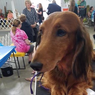 Profile Picture of Bernadette K Wagner (@BDoxn) on Facebook