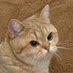 Profile Picture of peterekstrm2 (@peterekstrm2) on Tiktok