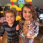 Profile Picture of Audrey, Mabel And Chewie (@daughtersdadanddog) on Instagram