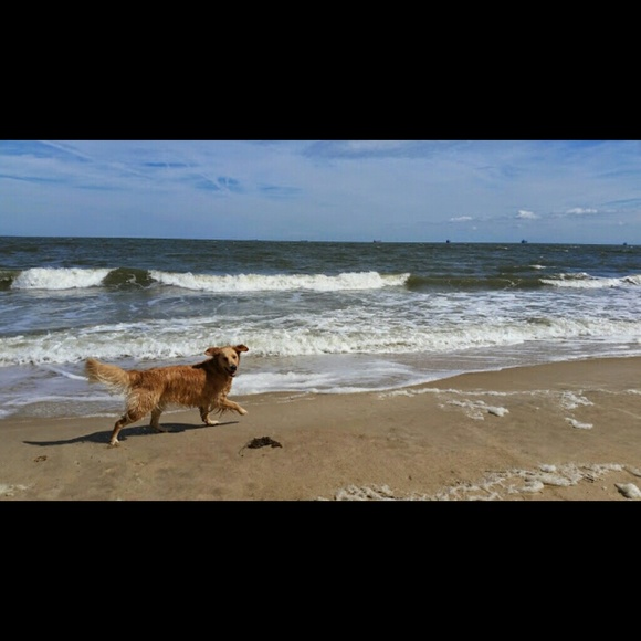 Profile Picture of Caitlin Plummer (@madaket922) on Poshmark