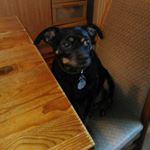 Profile Picture of Andrea Bartels (@andrea.bartels.547) on Instagram